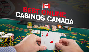The Best Live Online Casinos Experience Gaming Like Never Before The Best Live Online Casinos Experience Gaming Like Never Before